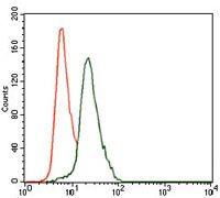 Cytokeratin 13 antibody [3G4]