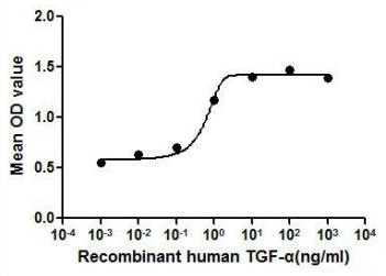 Human TGF alpha protein, His tag (active)