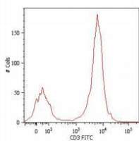 CD3 antibody [MEM-57] (PerCP)