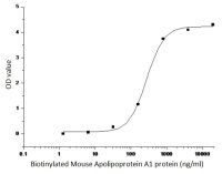 Mouse Apolipoprotein A1 protein, human IgG1 Fc tag