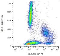 HLA-DR + HLA-DP antibody [HL-38] (PE)