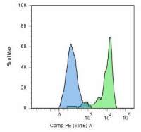 PSMA antibody [GCP-05]