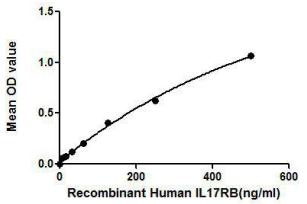 Human IL17 Receptor beta protein, His tag