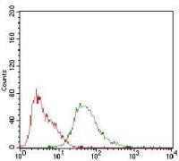 Syndecan-1 / CD138 antibody [1A3H4]