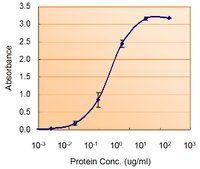 SOD1 antibody, Internal