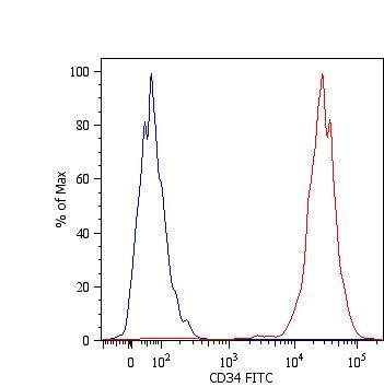 CD34 antibody [4H11(APG)] (FITC)
