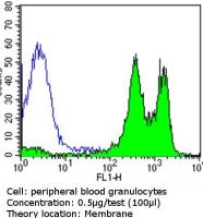 Integrin beta 1 / CD29 antibody [TS2/16]