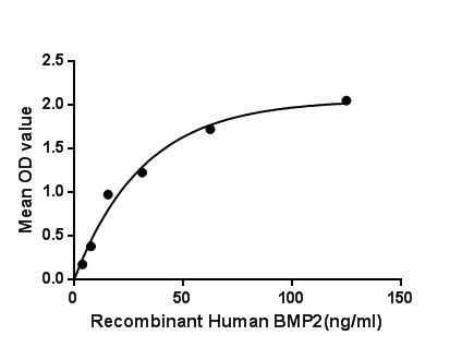 Human BMP2 protein, His tag
