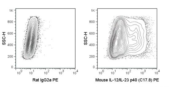 IL12B / IL12 p40 antibody [C17-8] (PE)