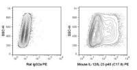 IL12B / IL12 p40 antibody [C17-8] (PE)