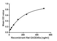 Rat GADD45A protein, His tag