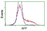 Alpha fetoprotein / AFP antibody [3B5]