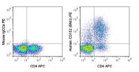 CTLA4 antibody [BNI3] (PE)