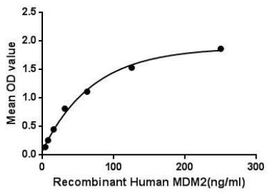 Human MDM2 protein, His tag