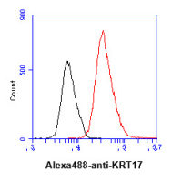 Cytokeratin 17 antibody [AT9F3]