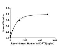 Human Angiopoietin 2 protein, His tag
