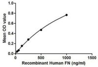 Human Fibronectin protein, His tag