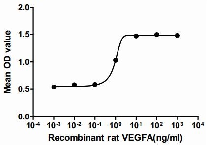Rat VEGFA protein, His tag (active)
