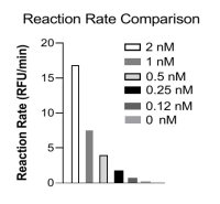 Human Autotaxin (mature) protein, His tag (active)