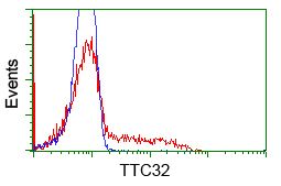 TTC32 antibody [5C12]