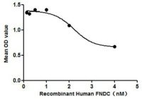 Human FNDC5 protein, His tag (active)