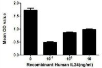 Human IL24 protein, His tag (active)
