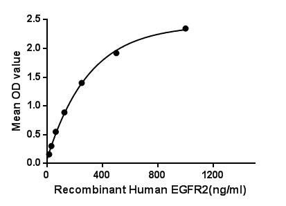 Human Her2 / ErbB2 protein, His and GST tag