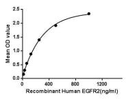 Human Her2 / ErbB2 protein, His and GST tag