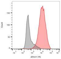 CD3 epsilon antibody [APA1/1] (PE)