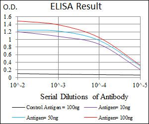 JNK1 antibody [1E5]