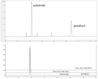 Rat PAM protein, His tag (active)