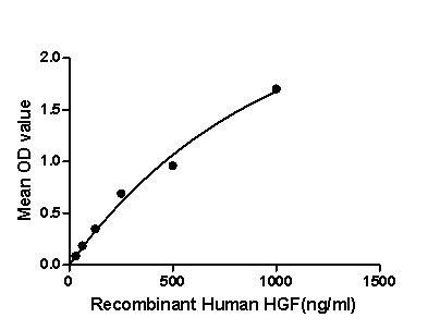 Human HGF protein, His tag (active)