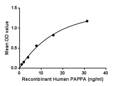 Human PAPP A protein, His tag
