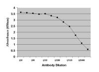 Dehydroepiandrosterone antibody [DHEA(-3):1-19.1 (BGN/117/1191)]