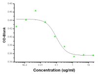 NGF beta antibody [R711]