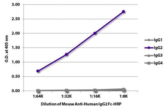 Mouse anti-Human IgG2 Fc antibody [31-7-4] (HRP)