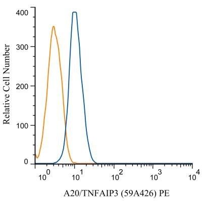 TNFAIP3 antibody [59A426]