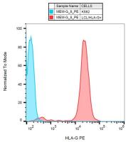 HLA-G antibody [MEM-G/9] (PE)