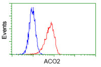 Aconitase 2 antibody [7A11]