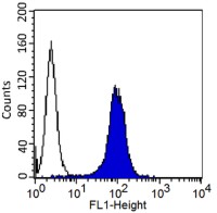 CD146 antibody [2Q401] (FITC)