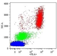 CD16 antibody [MEM-154] (Biotin)