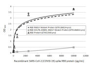 SARS-CoV-2 (COVID-19) Spike RBD protein, His tag (active)