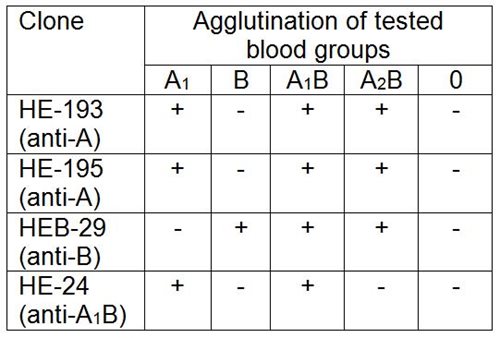 Blood Group A1B antigen antibody [HE-24]