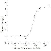 Mouse TrkA protein, His tag (active)