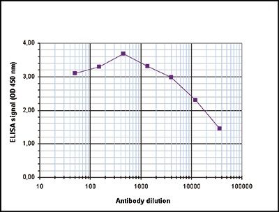 Histone H4K20me3 (trimethyl Lys20) antibody - ChIP grade