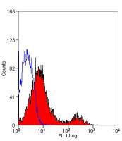 CD5 antibody [OX-19] (FITC)