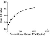 Human Thymidylate synthase protein, His tag