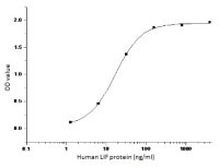 Human LIFR protein, His tag