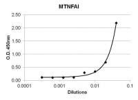 TNF alpha antibody [E10043]