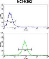 Dynamin 3 antibody, Internal